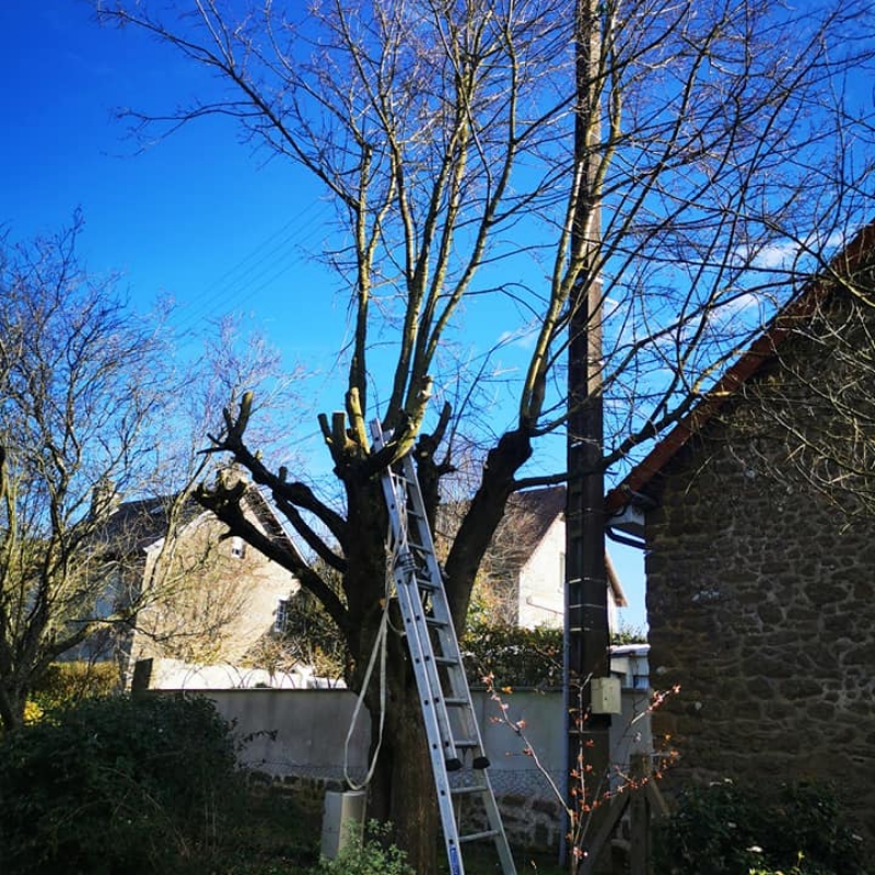Les Jardins Dagapanthes Paysagiste Avranches Entretien De Jardin 1 1