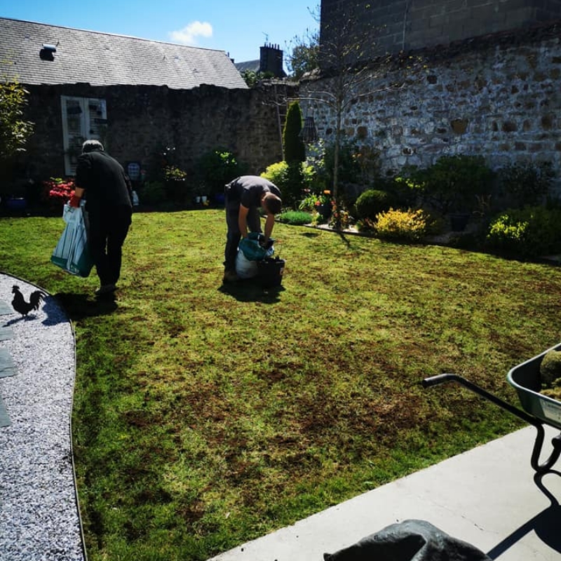 Les Jardins Dagapanthes Paysagiste Avranches Entretien De Jardin 5