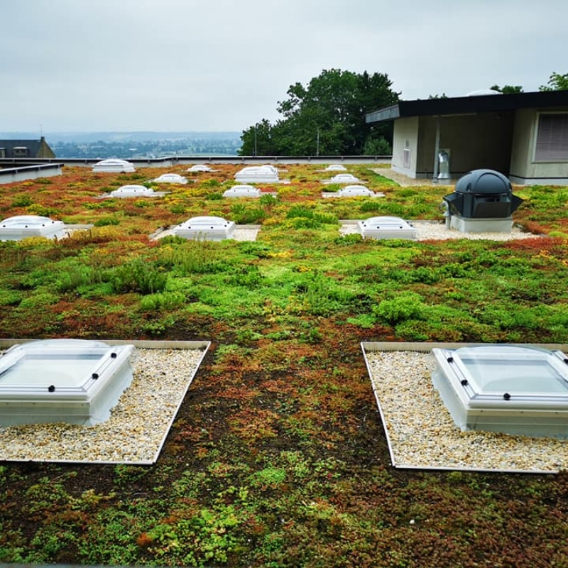 Les Jardins Dagapanthes Paysagiste Avranches Toiture Vegetale 2