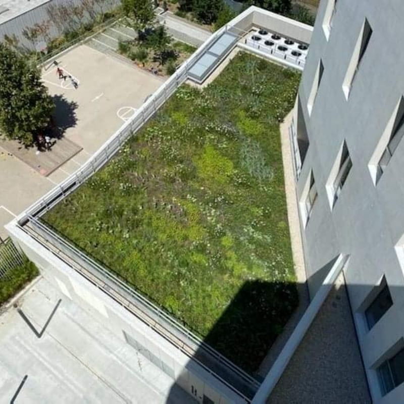 Les Jardins Dagapanthes Paysagiste Avranches Toiture Vegetale 4
