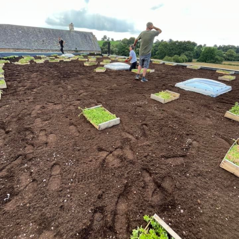 Les Jardins Dagapanthes Paysagiste Avranches Toiture Vegetale 5