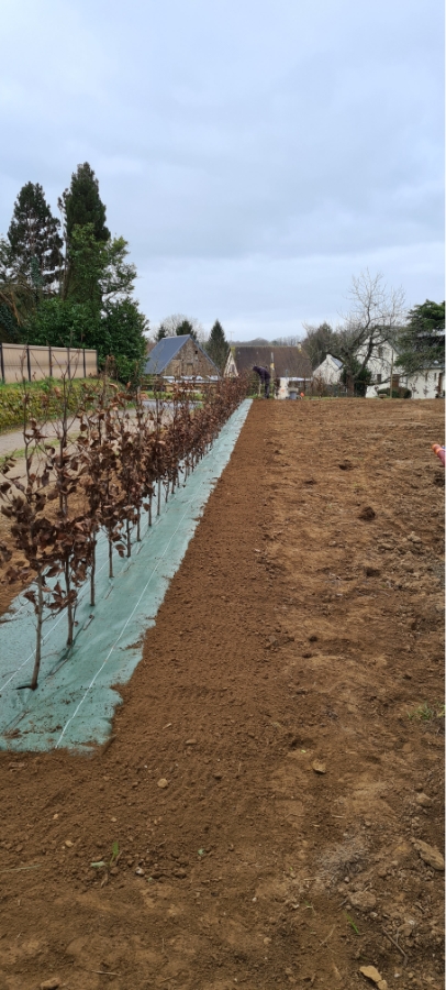 Les Jardins Dagapanthes Paysagiste Avranches Amenagement Interieur 11
