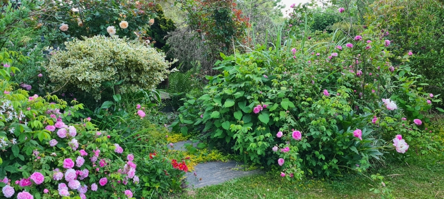 Les Jardins Dagapanthes Paysagiste Avranches Amenagement Interieur 21