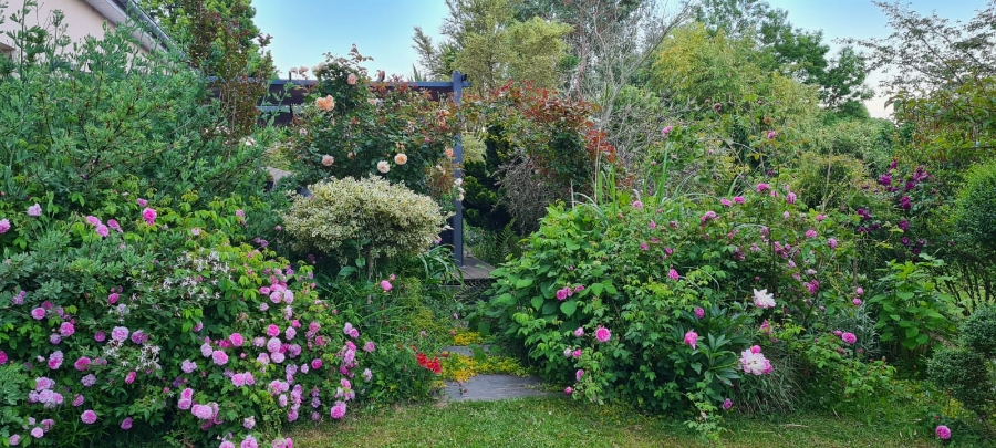 Les Jardins Dagapanthes Paysagiste Avranches Amenagement Interieur 22