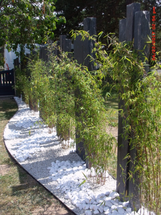Les Jardins Dagapanthes Paysagiste Avranches Amenagement Interieur 23