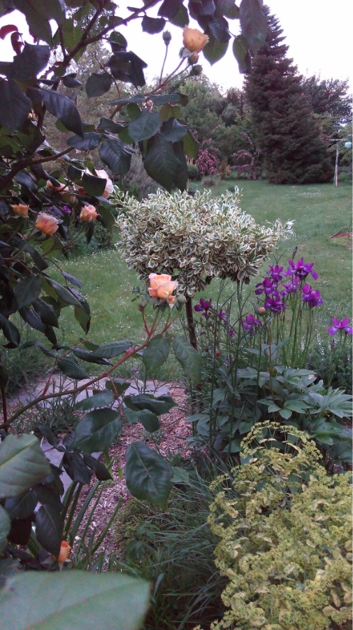 Les Jardins Dagapanthes Paysagiste Avranches Amenagement Interieur 31