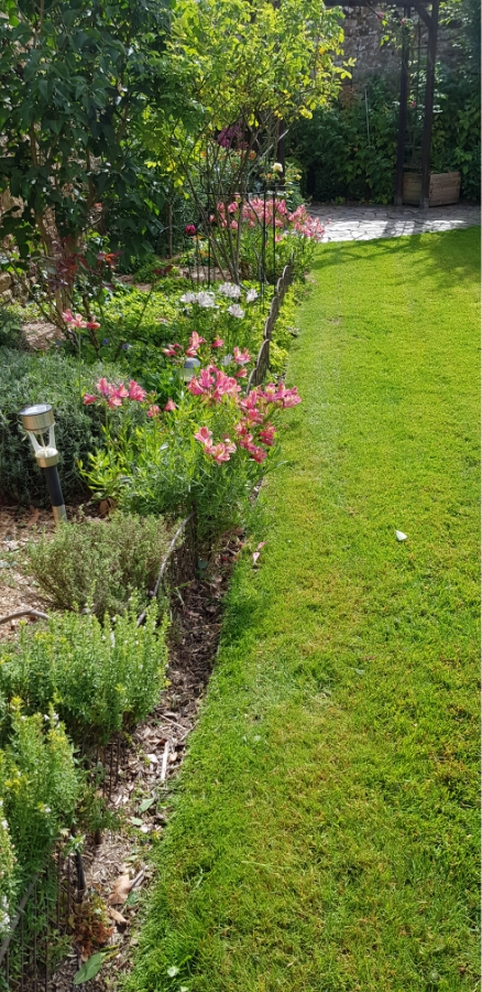 Les Jardins Dagapanthes Paysagiste Avranches Amenagement Interieur 7