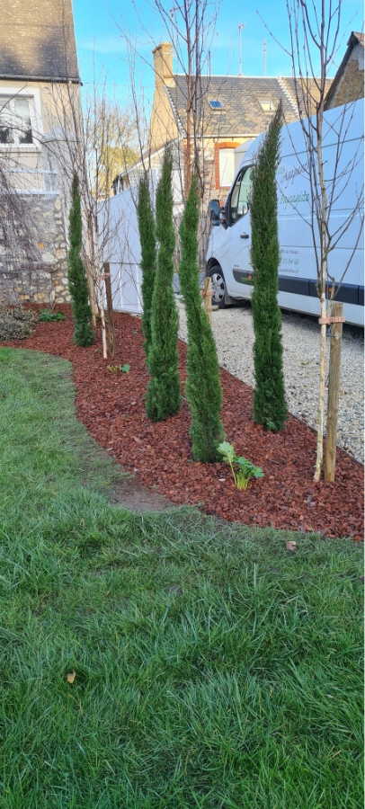 Les Jardins Dagapanthes Paysagiste Avranches Amenagement Interieur 9