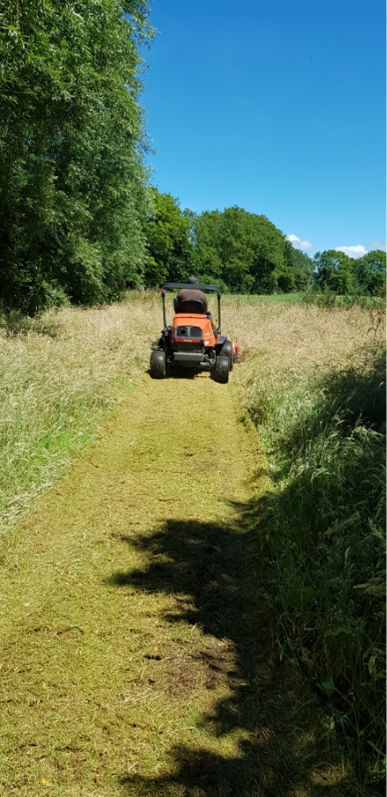 Les Jardins Dagapanthes Paysagiste Avranches Entretien De Jardin 3