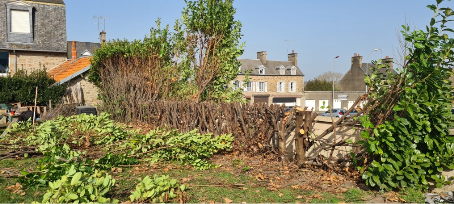 Les Jardins Dagapanthes Paysagiste Avranches Entretien De Jardin 6