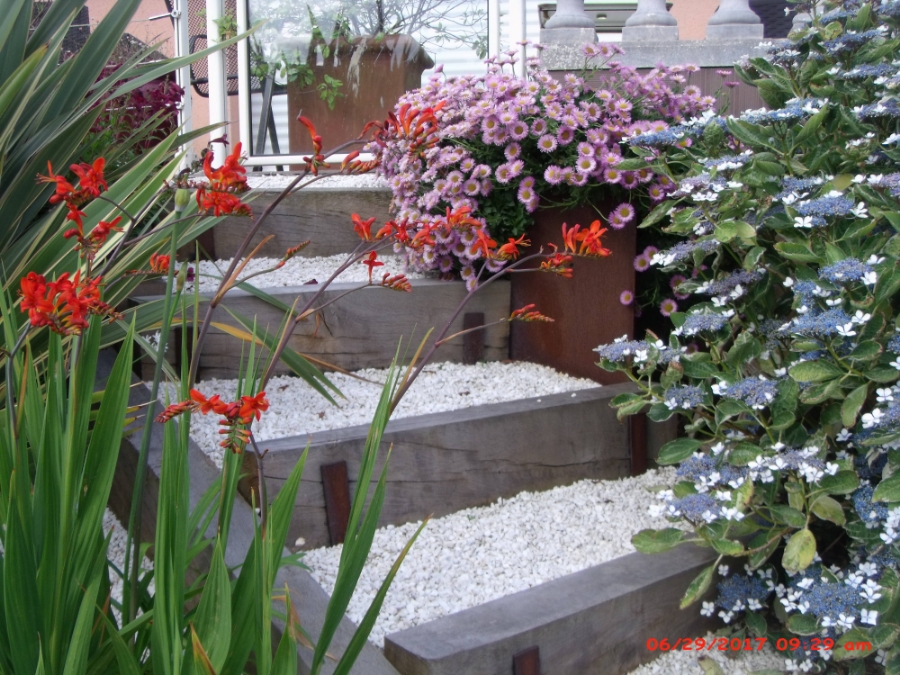 Les Jardins Dagapanthes Paysagiste Avranches Maconnerie Paysagere 6