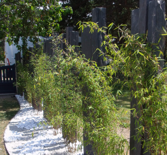 Les Jardins Dagapanthes Paysagiste Avranches Sans Titre 89