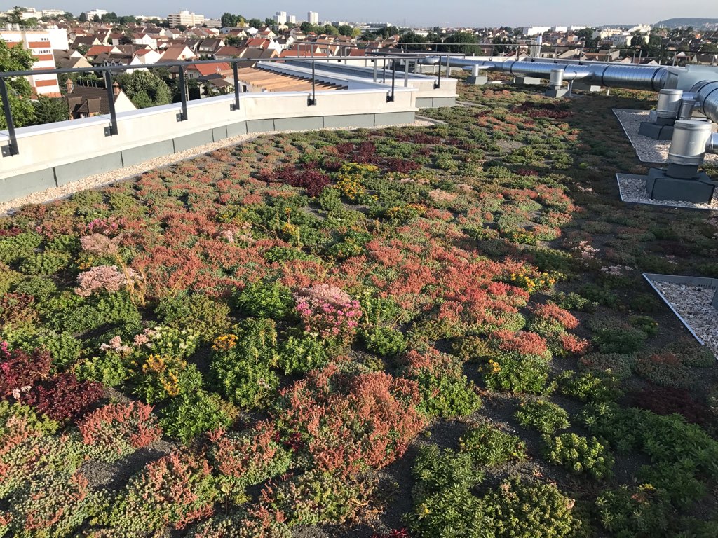 Les Jardins Dagapanthes Paysagiste Avranches Realisations Jardins Dagapanthes 2